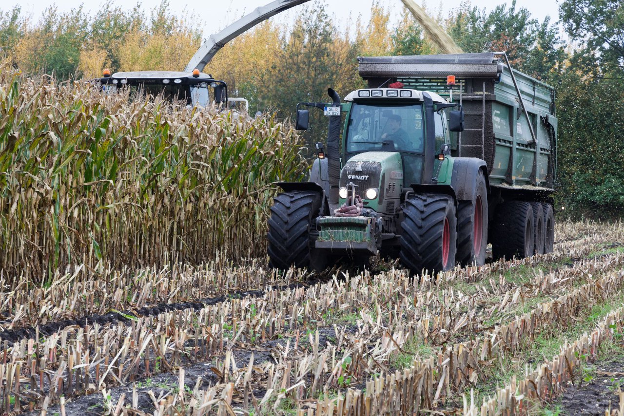 Bild 61 - Maisernte am 22.10.12